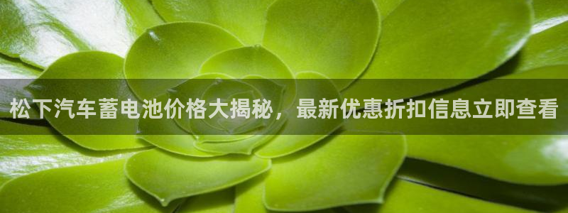 优发国际手机版客户端下载