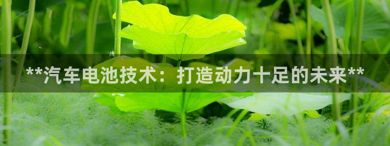 优发国际官网手机版下载
