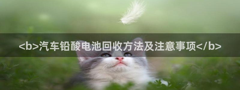 优发国际线上娱官网