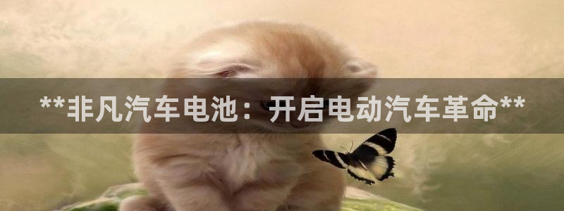 优发国际手机客户端app