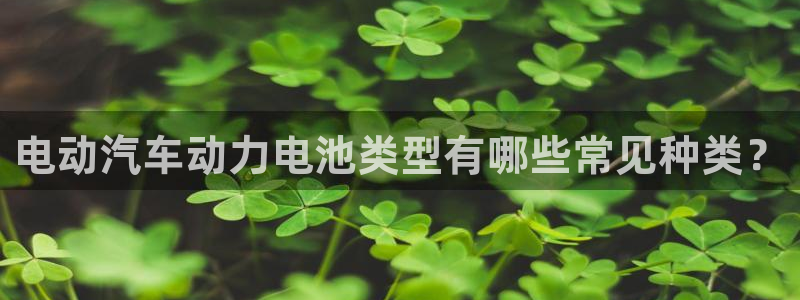 优发国际网站