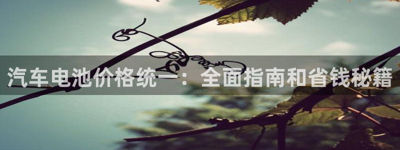 优发国际下载安装app