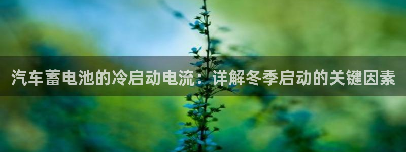 优发国际这个平台怎么样知乎