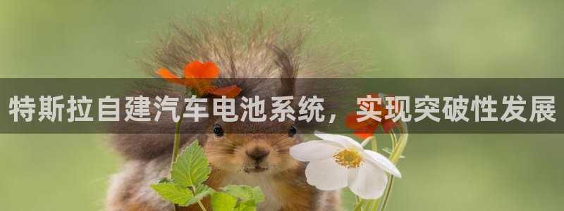 优发国际平台手机版下载