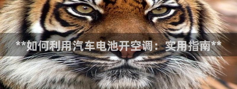 优发国际官方网
