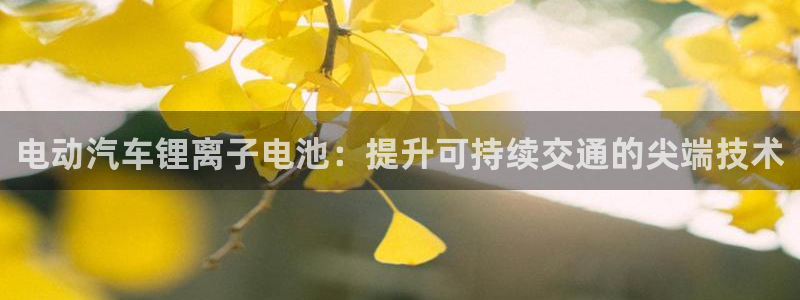 优发国际官网是多少