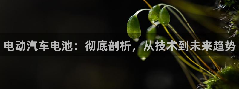 优发国际 干什么的