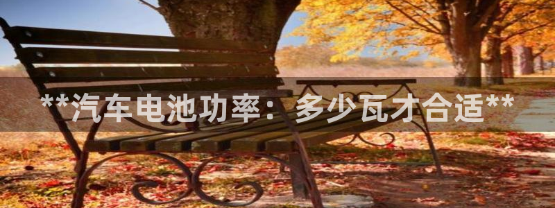 优发国际平台g8
