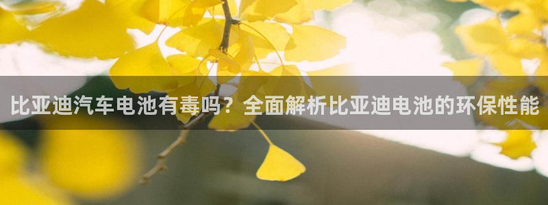 优发国际随优而动一触即发