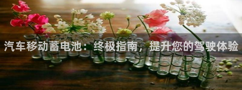 优发国际网官网17k8
