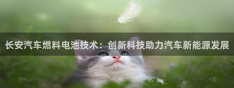 优发国际游戏官网