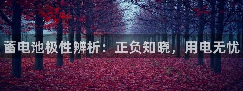 优发娱乐pc版官网