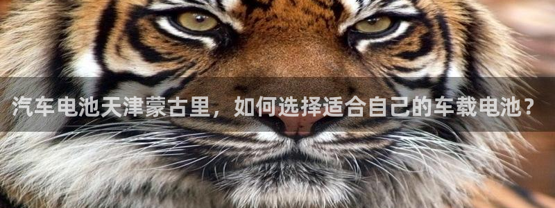 优发国际网官网17w80是什么
