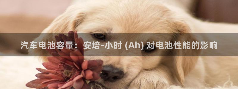 优发国际的官网是什么