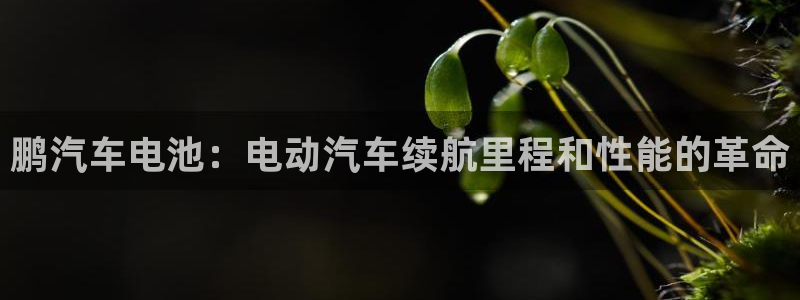 优发国际游戏网站