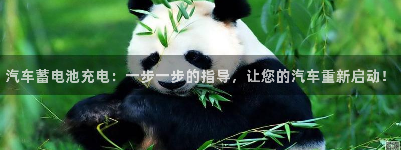 优发国际官网手机版
