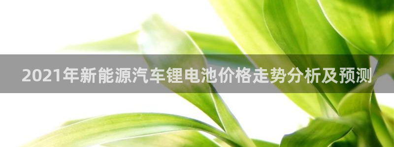 优发国际手机版唯一官网是什么