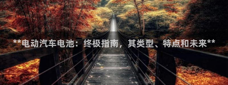 优发国际平台app下载安装：**电动汽车电池：终极指南，其类型、特点和未来**