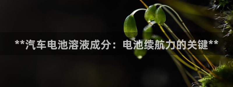 优发国际平台手机版下载安装