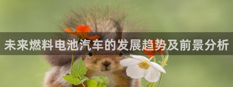 优发国际手机版下载安装