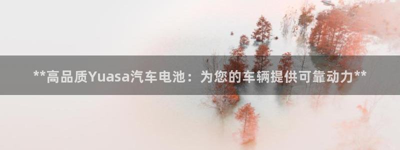 优发国际平台