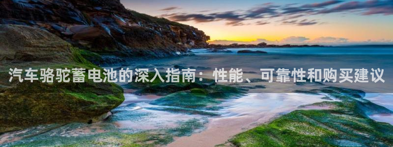 优发国际客服联系方式