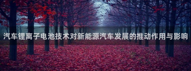 优发国际手机app下载安装：汽车锂离子电池技术对新能源汽车发展的推动作用与影响