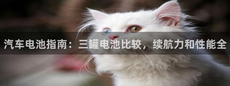 优发国际手机客户端下载安装