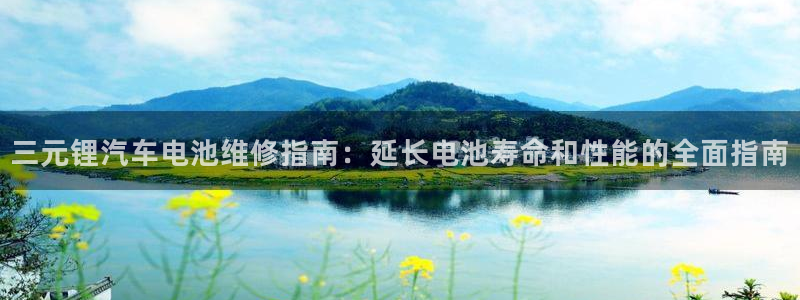 优发国际网站178：三元锂汽车电池维修指南：延长电池寿命和性能的全面指南