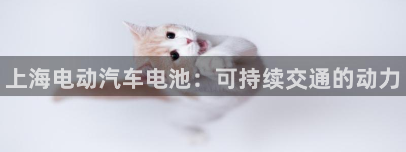 优发国际下载
