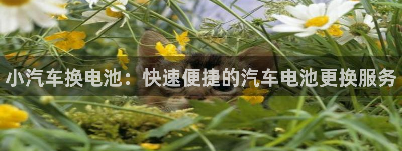 优发国际手机版客户端：小汽车换电池：快速便捷的汽车电池更换服务