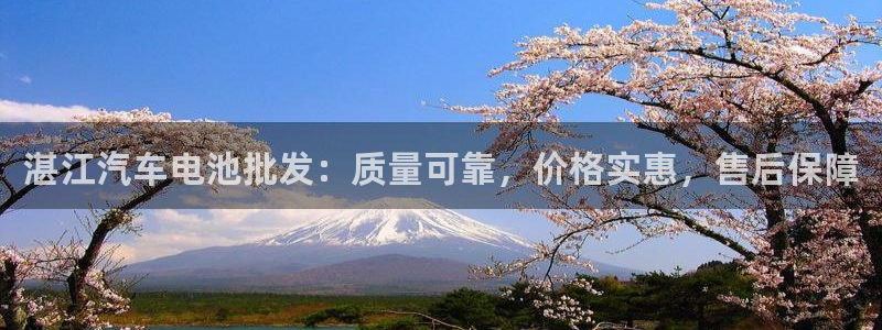 优发国际注册平台官网：湛江汽车电池批发：质量可靠，价格实惠，售后保障