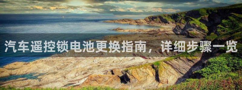 优发国际登陆：汽车遥控锁电池更换指南，详细步骤一览