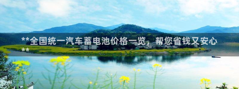 优发国际注册平台怎么样：**全国统一汽车蓄电池价格一览，帮您省钱又安心
**