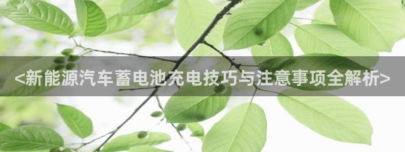 优发国际官网值是多少：<新能源汽车蓄电池充电技巧与注意事项全解析>