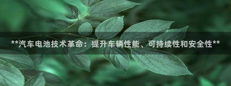 优发国际手机版官网入口：**汽车电池技术革命：提升车辆性能、可持续性和安全性**