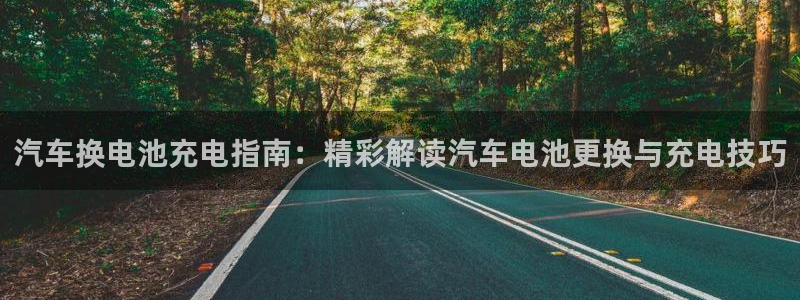 优发国际登录app：汽车换电池充电指南：精彩解读汽车电池更换与充电技巧