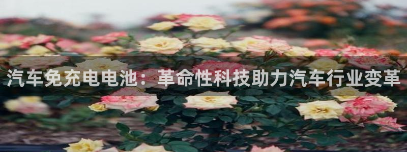 优发国际首页首页y6：汽车免充电电池：革命性科技助力汽车行业变革