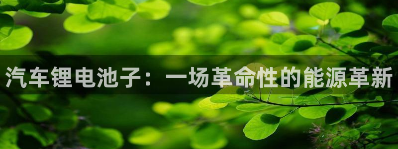 优发国际手机客户端下载安卓：汽车锂电池子：一场革命性的能源革新