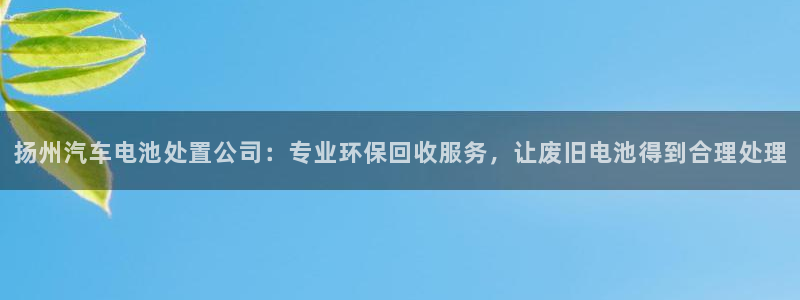 优发国际VIP网址：扬州汽车电池处置公司：专业环保回收服务，让废旧电池得到合理处理