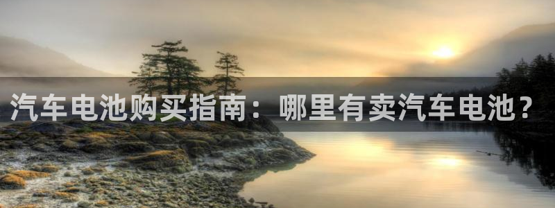 优发国际app官网下载安装手机版：汽车电池购买指南：哪里有卖汽车电池？
