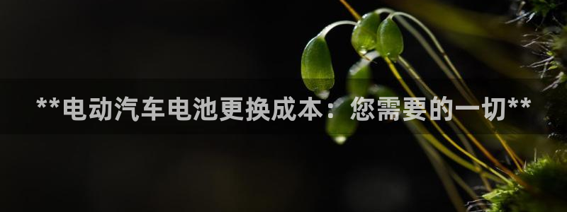 优发国际官网,首页网址：**电动汽车电池更换成本：您需要的一切**