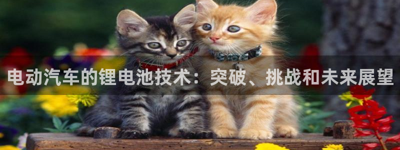 优发国际app登录密码：电动汽车的锂电池技术：突破、挑战和未来展望
