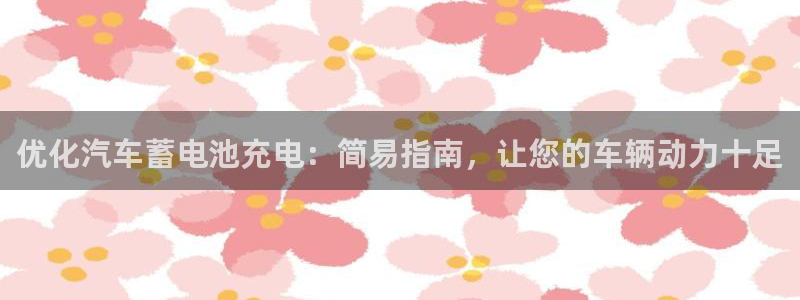 优发国际官网官方网址：优化汽车蓄电池充电：简易指南，让您的车辆动力十足