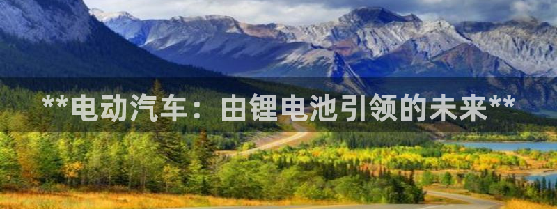 优发国际手机版客户端下载：**电动汽车：由锂电池引领的未来**