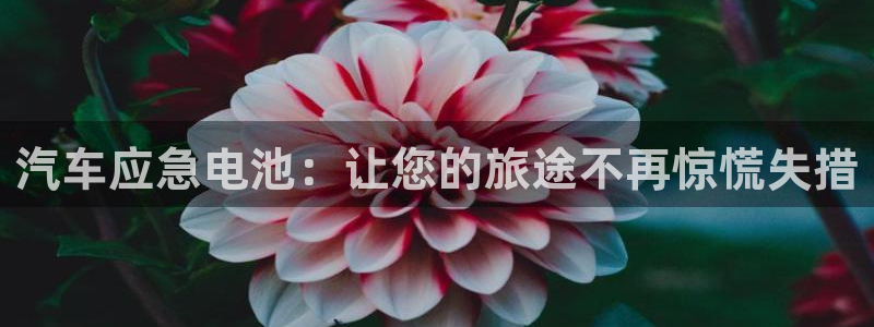 优发国际最新网站下载：汽车应急电池：让您的旅途不再惊慌失措
