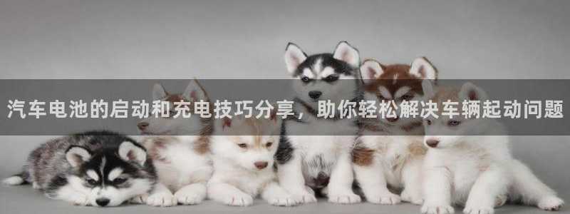 优发国际手机安装登录：汽车电池的启动和充