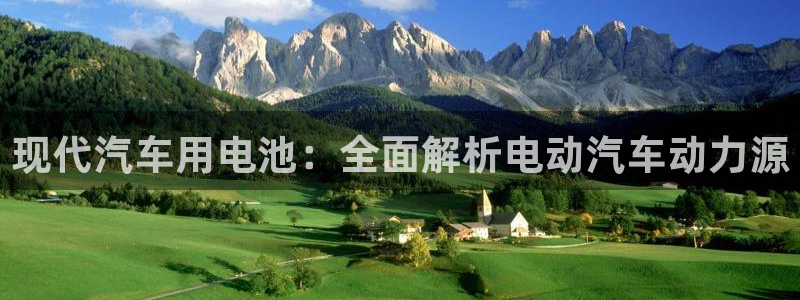 优发国际顶级：现代汽车用电池：全面解析电