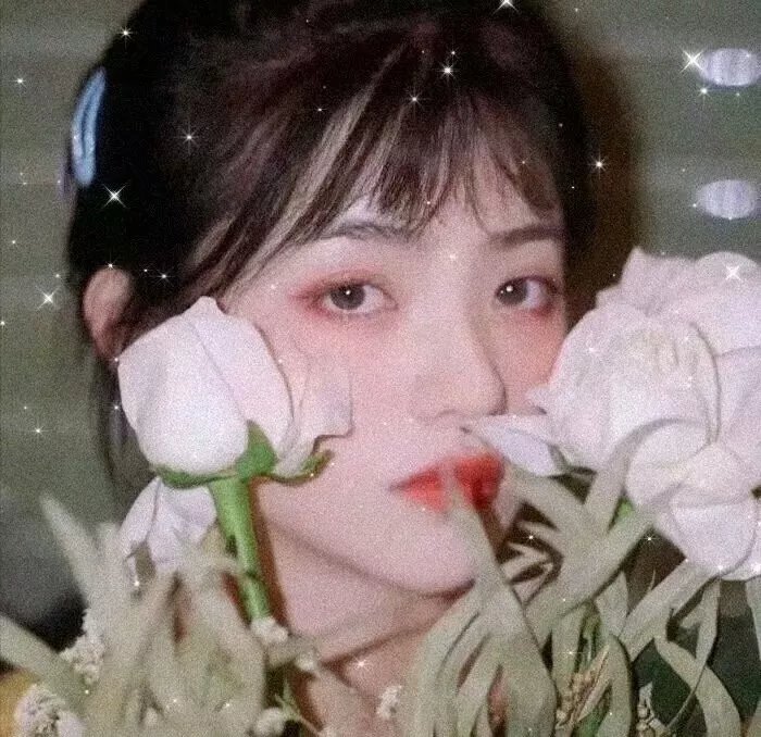 365天:今时之欲